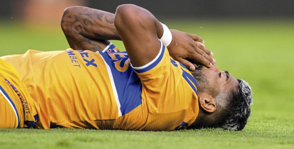 Tigres, Querétaro, Gallos, jornada 1, Liga MX, minuto a minuto, en vivo, crónica