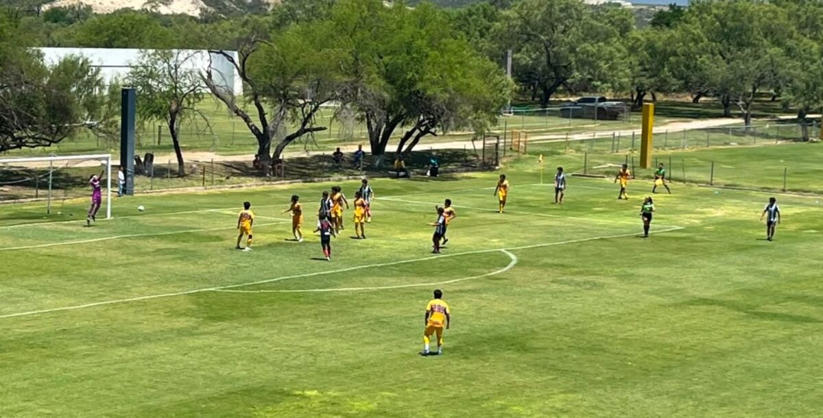 Tigres, Rayados, Sub 15, Clásico Regio, empate, Diego Ortiz, Romualdo Aguirre, Liga MX, Fuerzas Básicas
