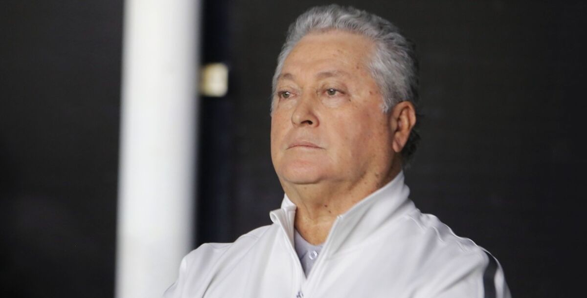 Tigres, Víctor Manuel Vucetich, vicepresidente deportivo, director técnico interino, Gerardo Torrado, oficial, comunicado