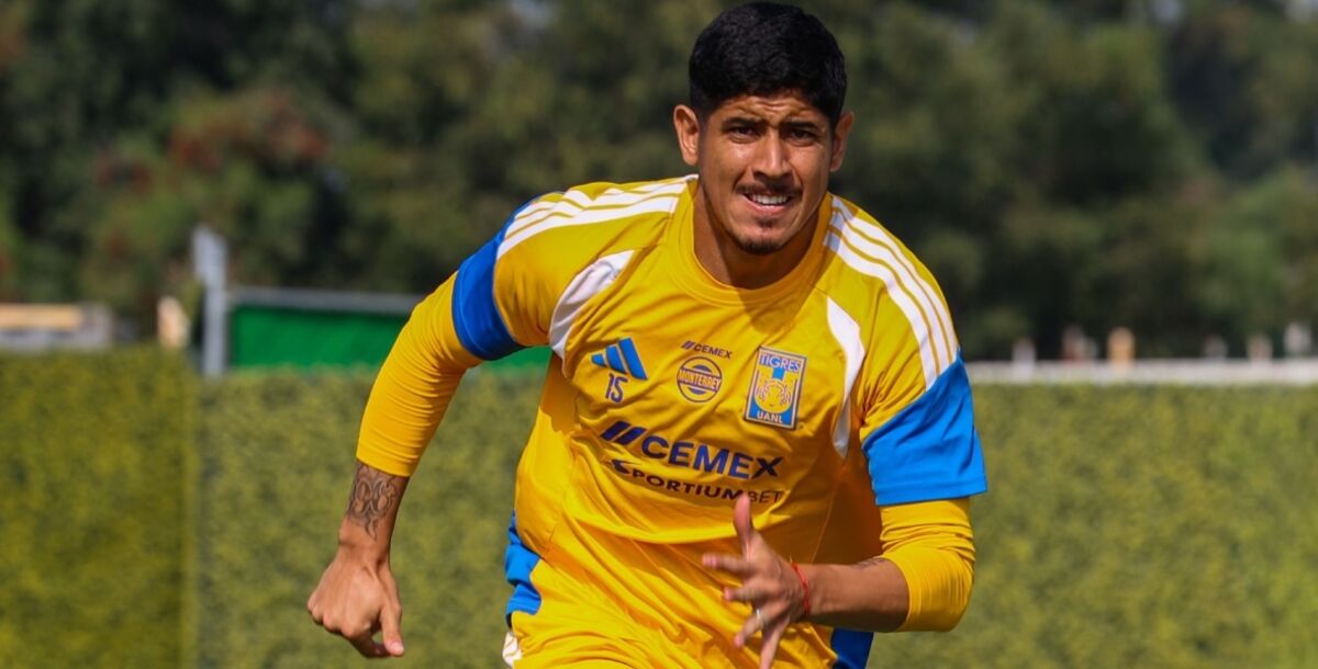 alan franco, refuerzo, tigres, nuevo ciclo, empezar cero, victor vucetich, cambios plantel, tecnico, apertura