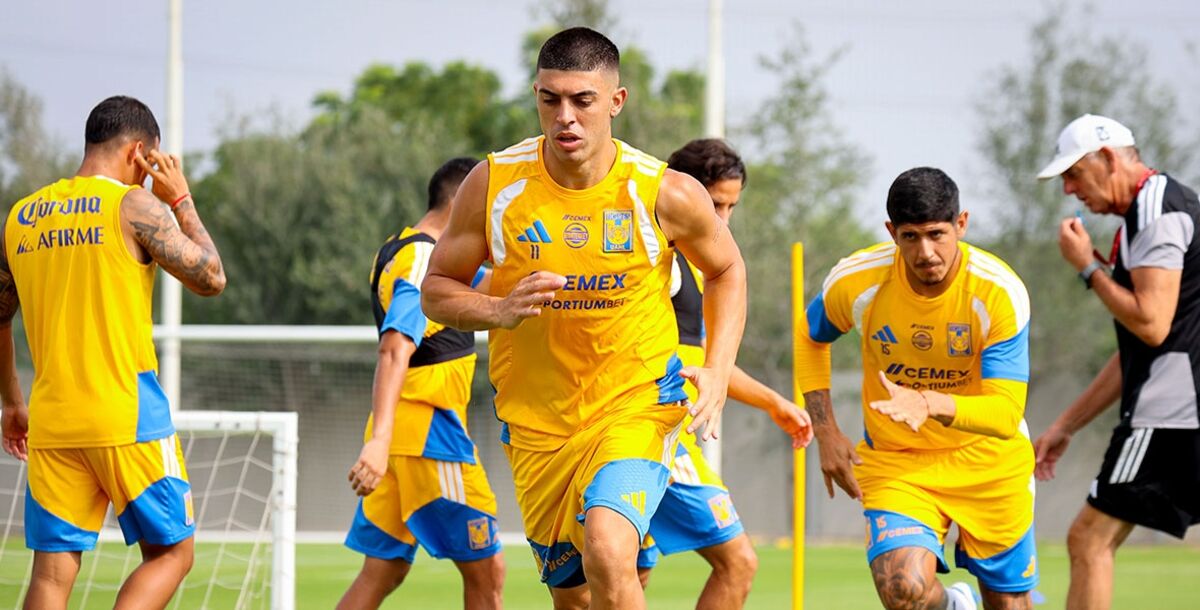 Tigres, Necaxa, Liga MX, Apertura 2026, Jornada 7, Estadio Universitario, previa