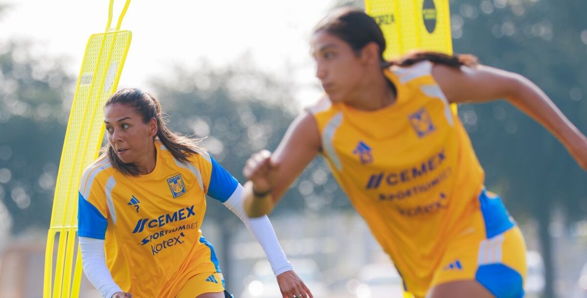 Tigres vs Santos Femenil previa, Tigres Femenil Pedro Losa, partidos de Tigres Femenil en el Estadio Universitario, sexta victoria consecutiva Tigres Femenil