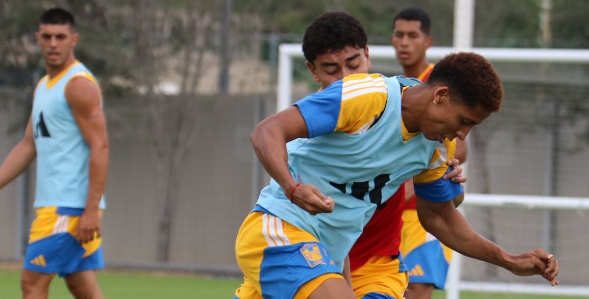 Ozziel Herrera, entrenamiento, entrenó al parejo, Tigres, lesión, desgarro bíceps femoral, Clásico Regio 143, César Araújo, Víctor Manuel Vucetich