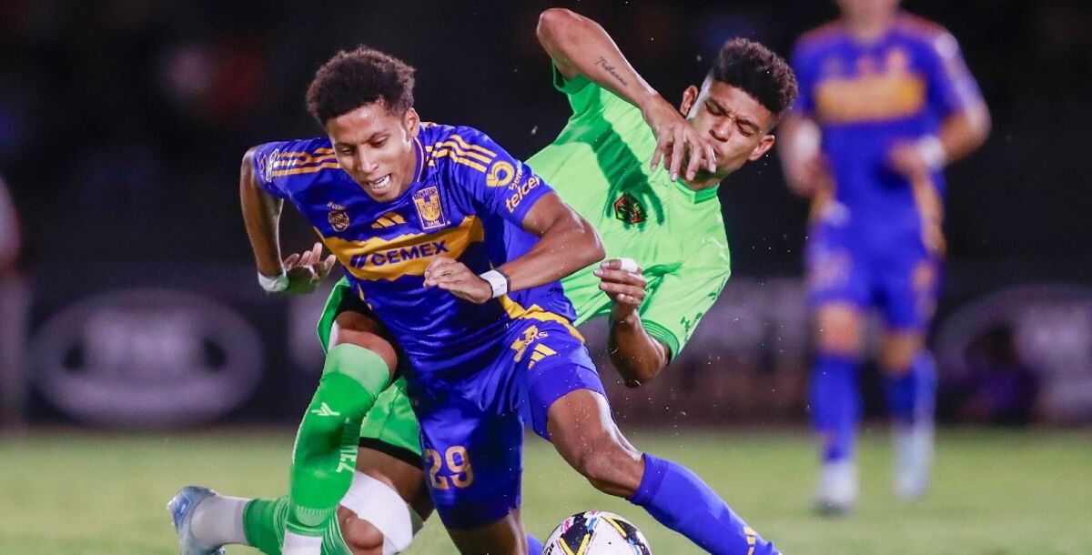 Tigres, Juárez, Bravos, previa, jornada 9, Liga MX, Vucetich, Gustavo Lema, Jesús Garza, Diego Lainez