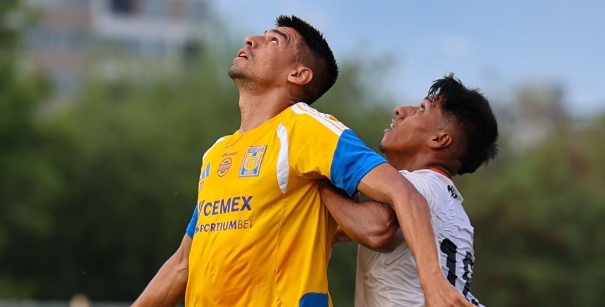 Tigres, amistoso, Santiago FC, triunfo, lluvia, victoria, Fecha FIFA, Guillermo Martinez, gol, doblete, Juan Brunetta, Victor Manuel Vucetich