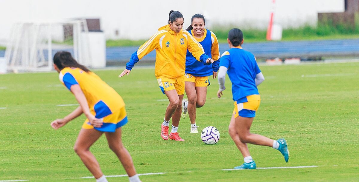 Tigres, Pedro Losa, Fecha FIFA, Liga Femenil, Apertura 2026, convocadas, selecciones nacionales