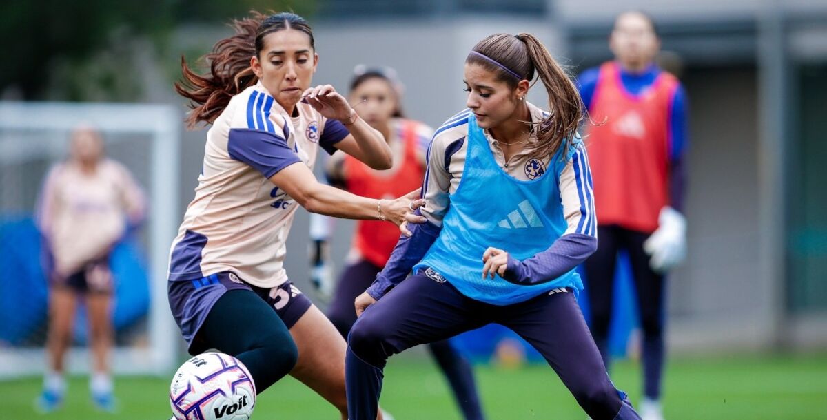 panorama Liguilla Apertura 2026, combinaciones para la Liguilla jornada 10, a cuatro fechas del cierre Apertura 2026, tabla de posiciones Liguilla Femenil