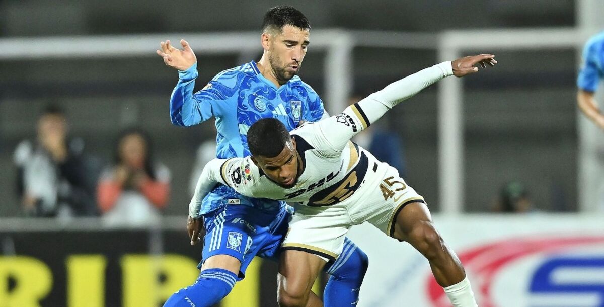 Tigres, Pumas, previa, jornada 14, Liga MX, Brunetta, Vucetich, antecdentes, Olímpico Universitario, Guillermo Martínez