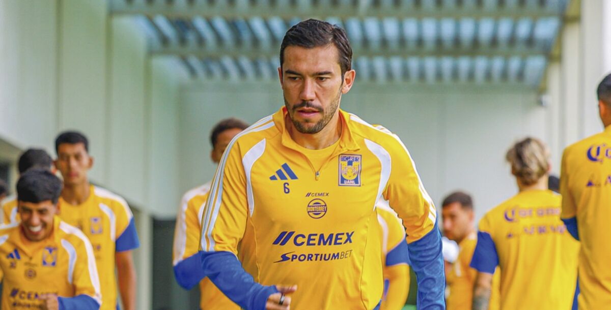 Tigres, Pumas, previa, jornada 14, Liga MX, Brunetta, Vucetich, antecdentes, Olímpico Universitario, Guillermo Martínez