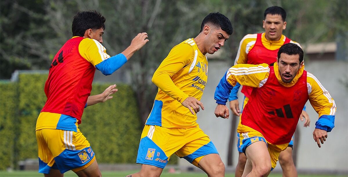 Tigres, Pachuca, Tuzos, Liga MX, Apertura 2026, Jornada 15, Estadio Hidalgo, previa