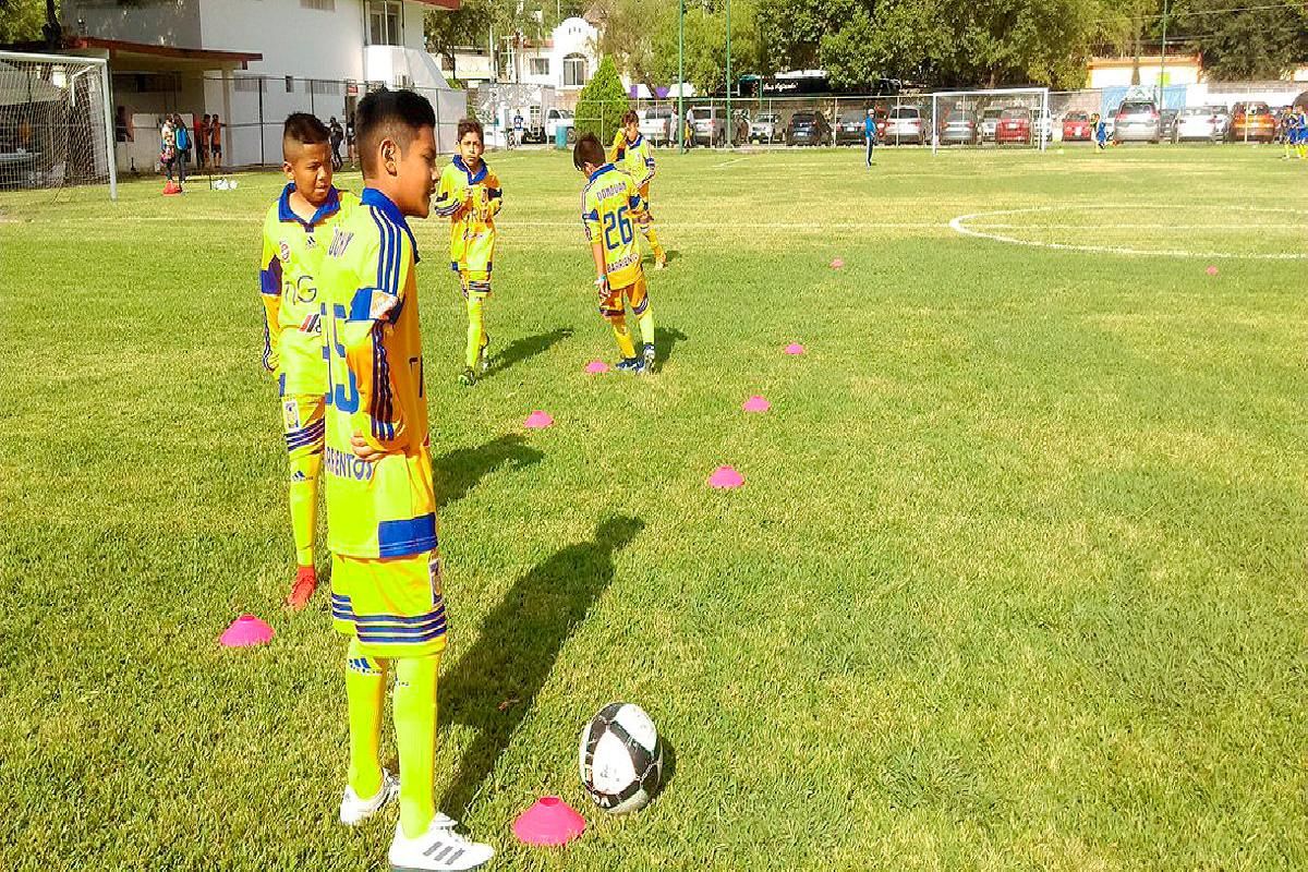 Tigres Fuerzas Básicas CEMEX Hidalgo Estado de México Baja California Jalisco Yucatán Coahuila San Luis Puebla Nuevo León Club Tigres Centro Recreativo CEMEX
